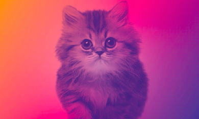 Elisa: la tracklist del nuovo album “On”