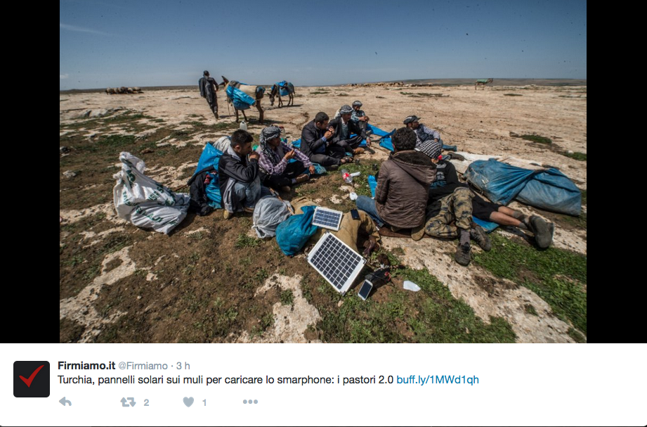 I pastori millennials navigano in Rete con pannelli solari a dorso di mulo I pastori millennials navigano in Rete con pannelli solari a dorso di mulo