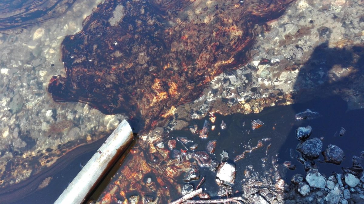 Galleria foto 'Genova, allarme per la fuga di petrolio che arriva al mare' - foto 9