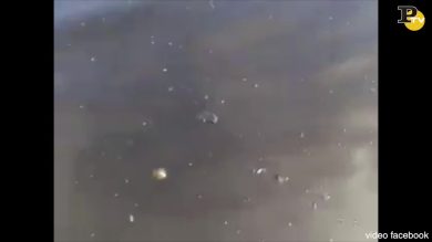 Genova: il petrolio della Iplom arriva in mare