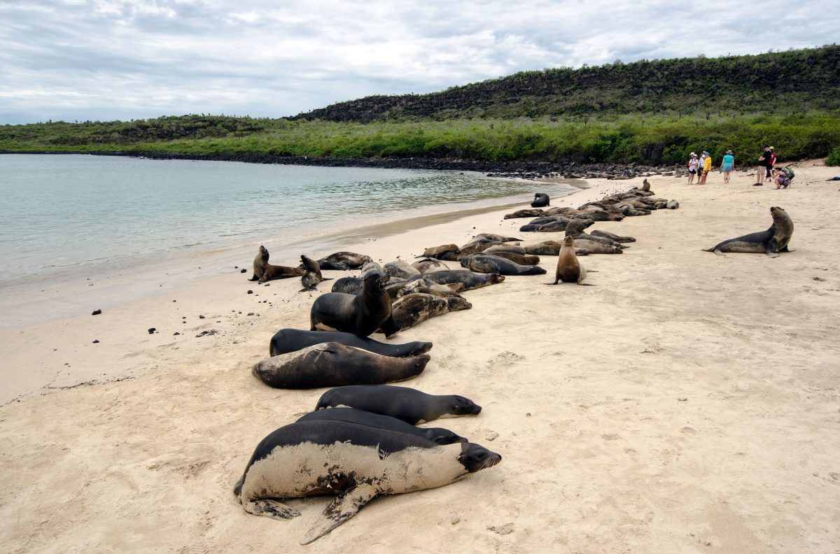 Galleria foto 'I 100 viaggi (ed esperienze) da fare nella vita' - foto 4