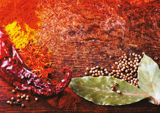 Premio Strega 2016: i 12 libri finalisti