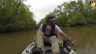 La strana creatura lacustre