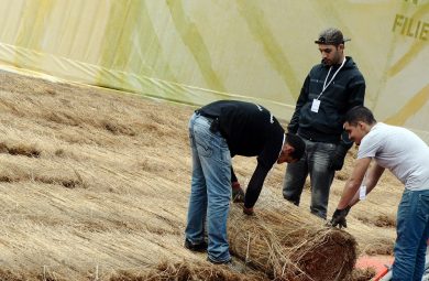 Why Italy is investing on hemp