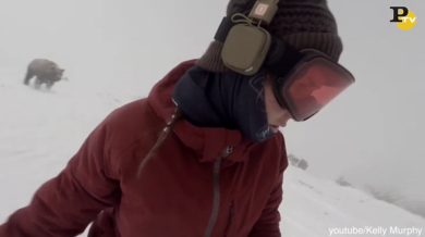 L’orso insegue la snowboarder