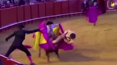 Siviglia: torero salvo per miracolo