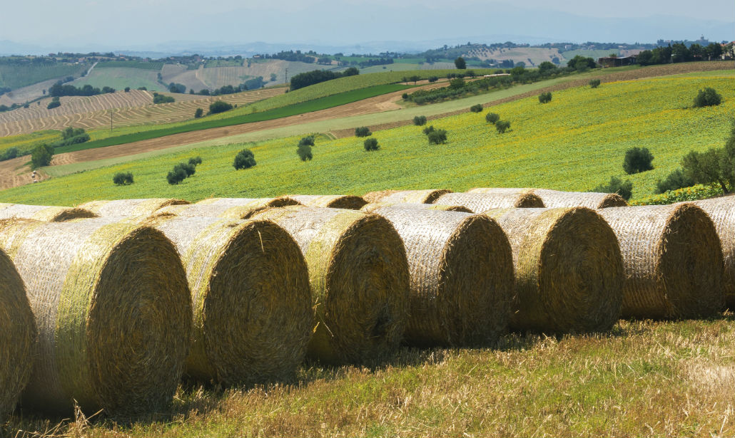 Macerata, il futuro riparte dal passato