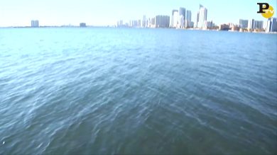 Miami: la città più stimolante della East coast