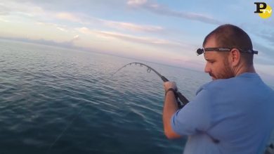 Cernia ruba il pesce al pescatore