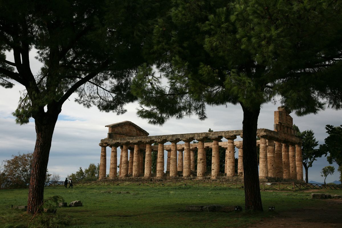 Galleria foto 'Tutti “pazzi” per le nozze al museo' - foto 9