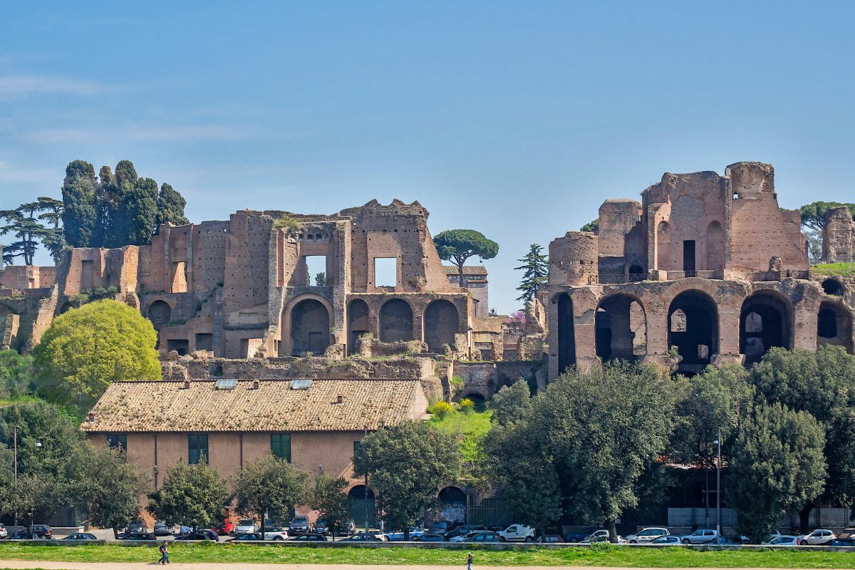 Galleria foto 'Tutti “pazzi” per le nozze al museo' - foto 8