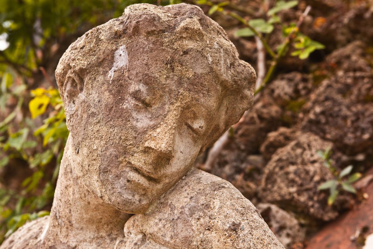 Galleria foto 'Tutti “pazzi” per le nozze al museo' - foto 5