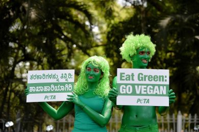 I vantaggi economici della scelta vegetariana