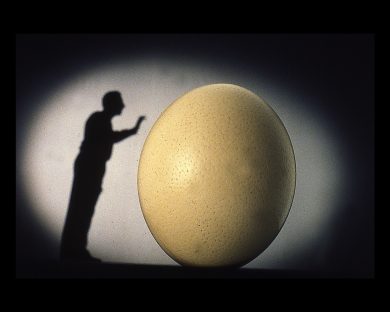 Studio Azzurro. Immagini sensibili