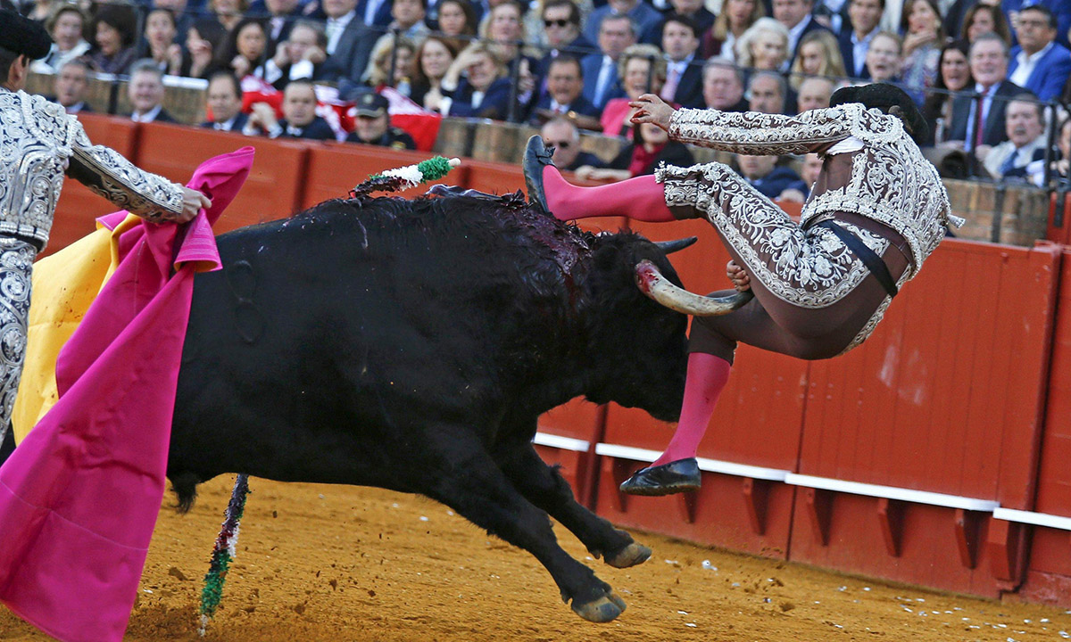 Le foto più belle della settimana – 26 marzo/1 aprile