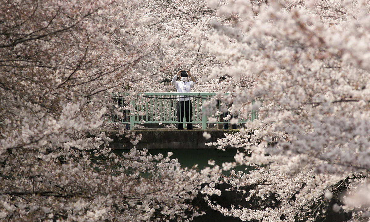 Le foto più belle della settimana – 26 marzo/1 aprile