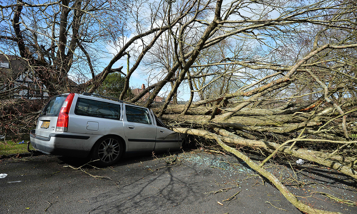La settimana nel mondo in 15 foto – 26 marzo/1 aprile La settimana nel mondo in 15 foto – 26 marzo/1 aprile