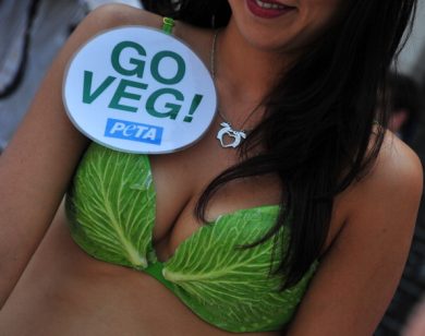 L’invasione dei nazivegani