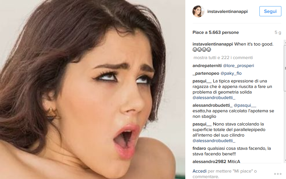 Selfie, in Arabia vietati quelli ai gatti Selfie, in Arabia vietati quelli ai gatti