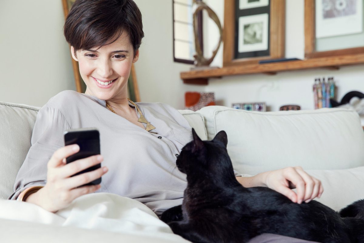 Selfie, in Arabia vietati quelli ai gatti Selfie, in Arabia vietati quelli ai gatti