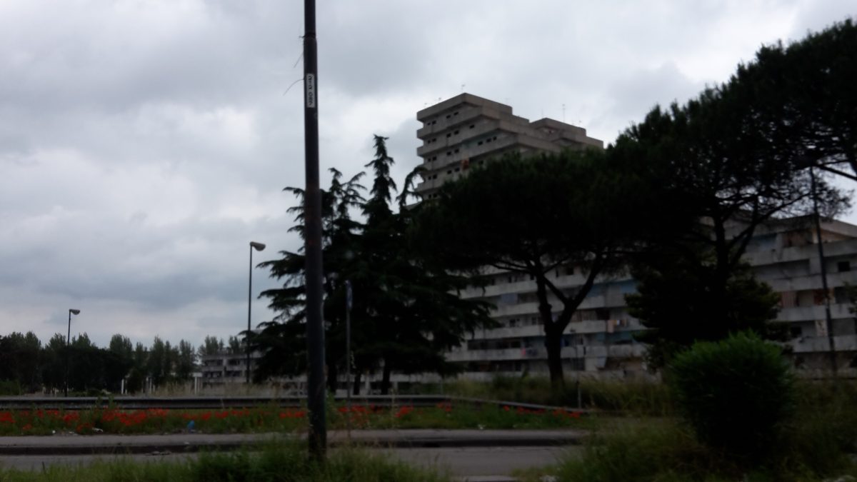 Galleria foto 'La preside di Scampia che della scuola ha fatto una missione' - foto 11