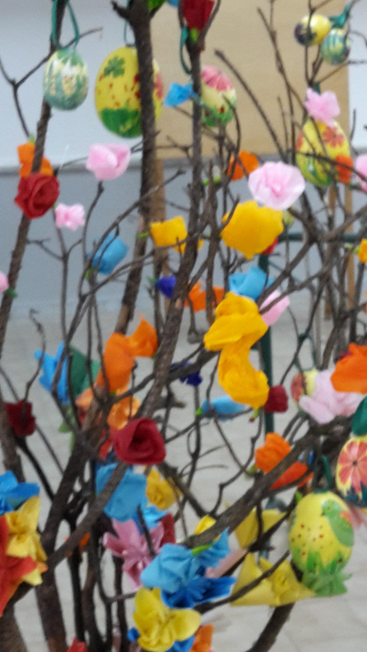 Galleria foto 'La preside di Scampia che della scuola ha fatto una missione' - foto 7