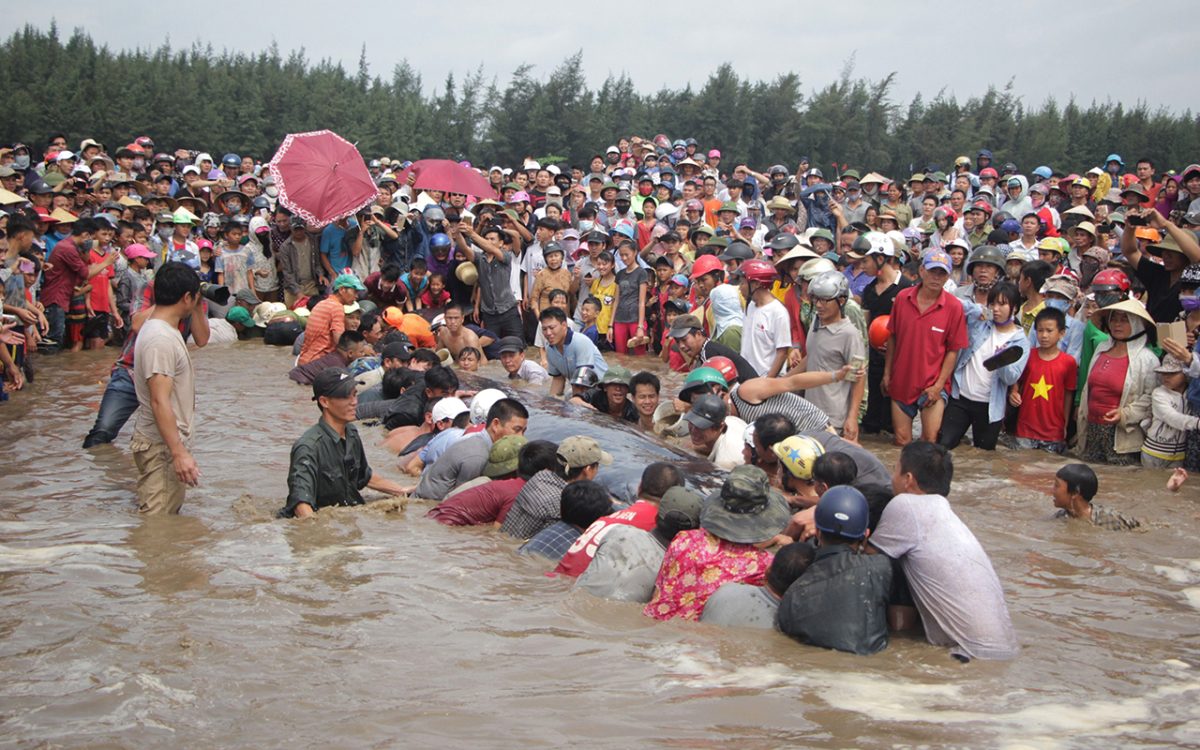 La settimana nel mondo in 15 foto – 21/27 maggio 2016