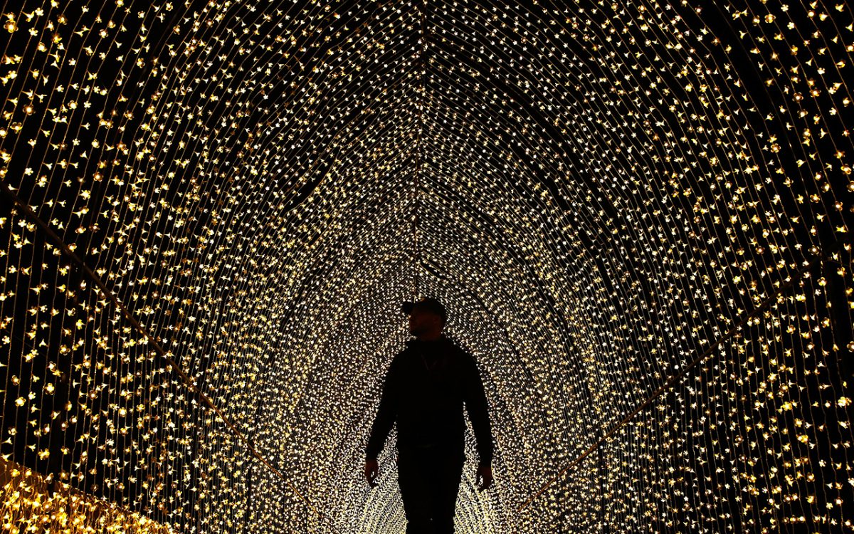 Galleria foto 'Le foto più belle della settimana – 21/27 maggio' - foto 7