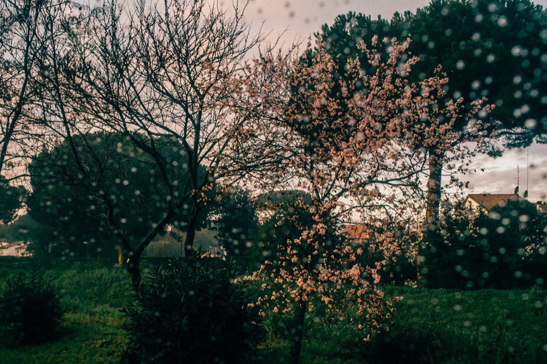 Daniele Cametti Aspri: Il Mio Diario Per Te