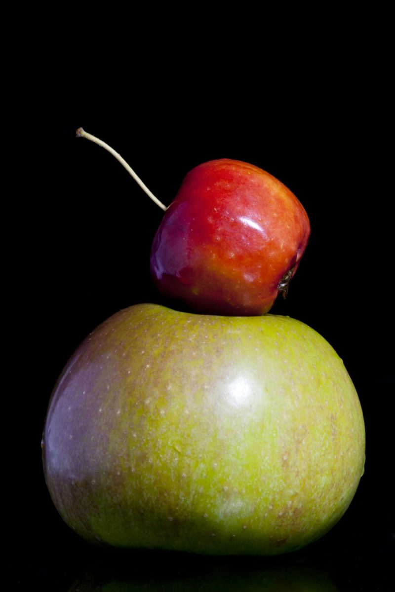 I meli selvatici del Tien Shan