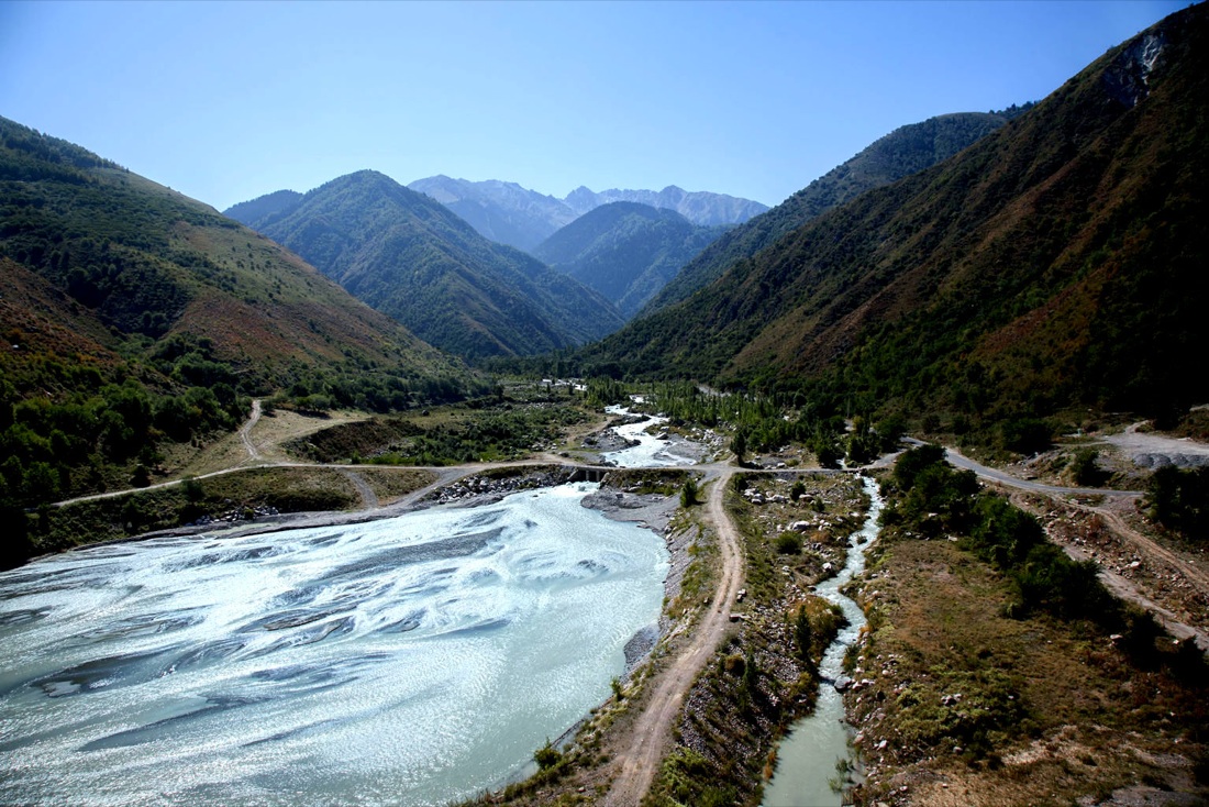 I meli selvatici del Tien Shan