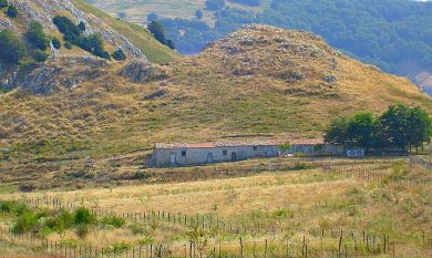 Perché la mafia vuole uccidere Giuseppe Antoci