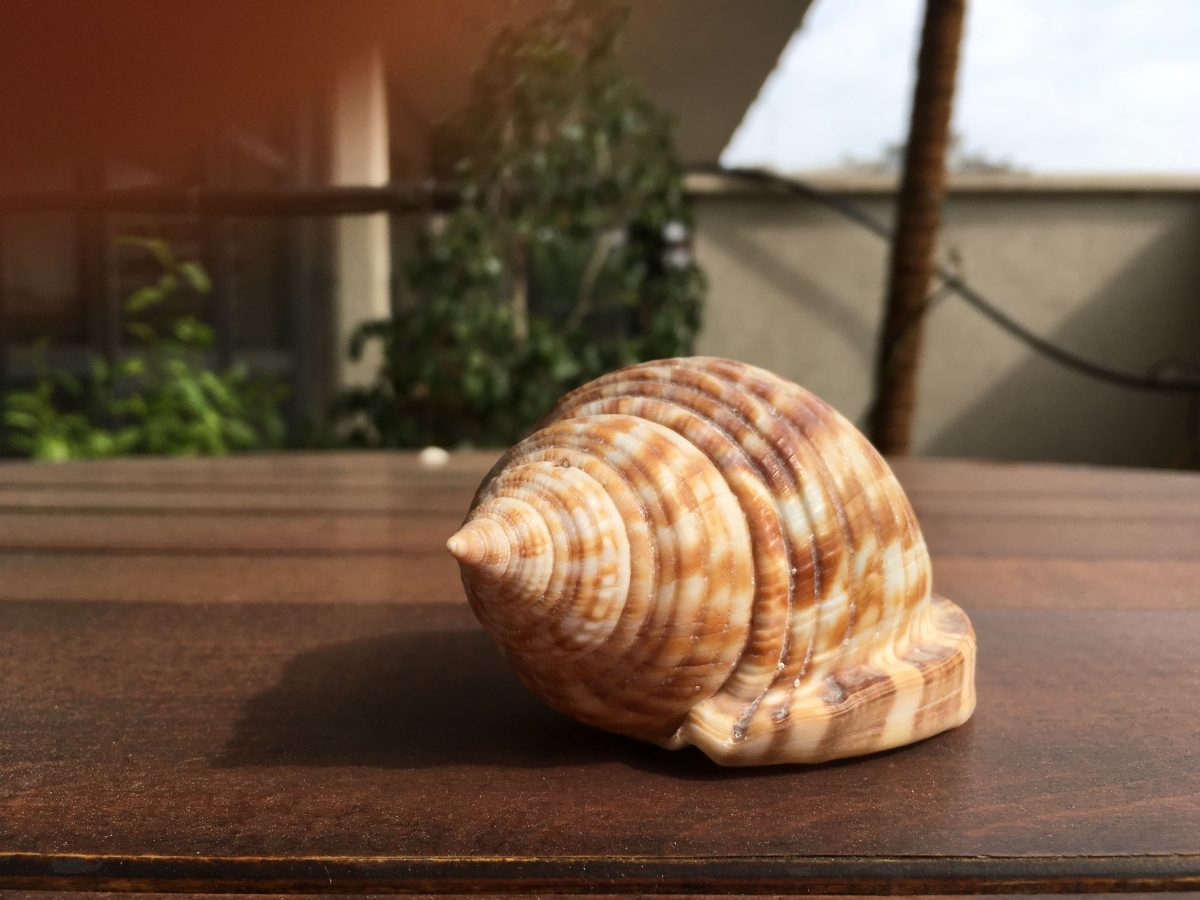 Galleria foto 'Apple iPhone SE, la recensione' - foto 8