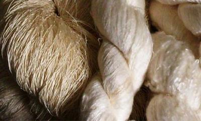 TTIP: le ragioni del sì e del no