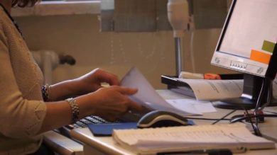 L’Italia ha il suo Foia: le cose da sapere