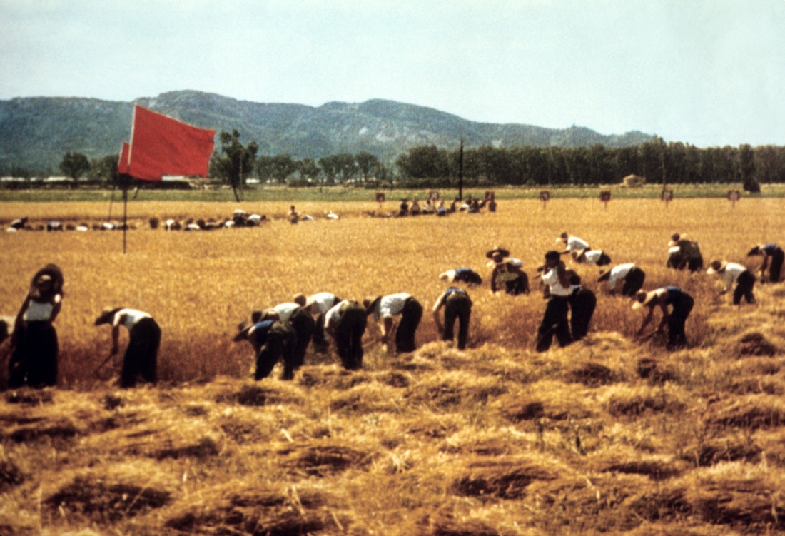 Cina: 50 anni fa l’inizio della “Rivoluzione culturale”