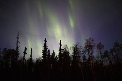 Canada, le foto dell’incendio che sta devastando l’Alberta