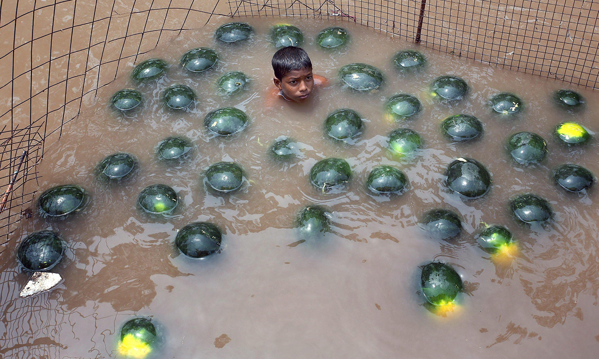 Le foto più belle della settimana – 7/13 maggio