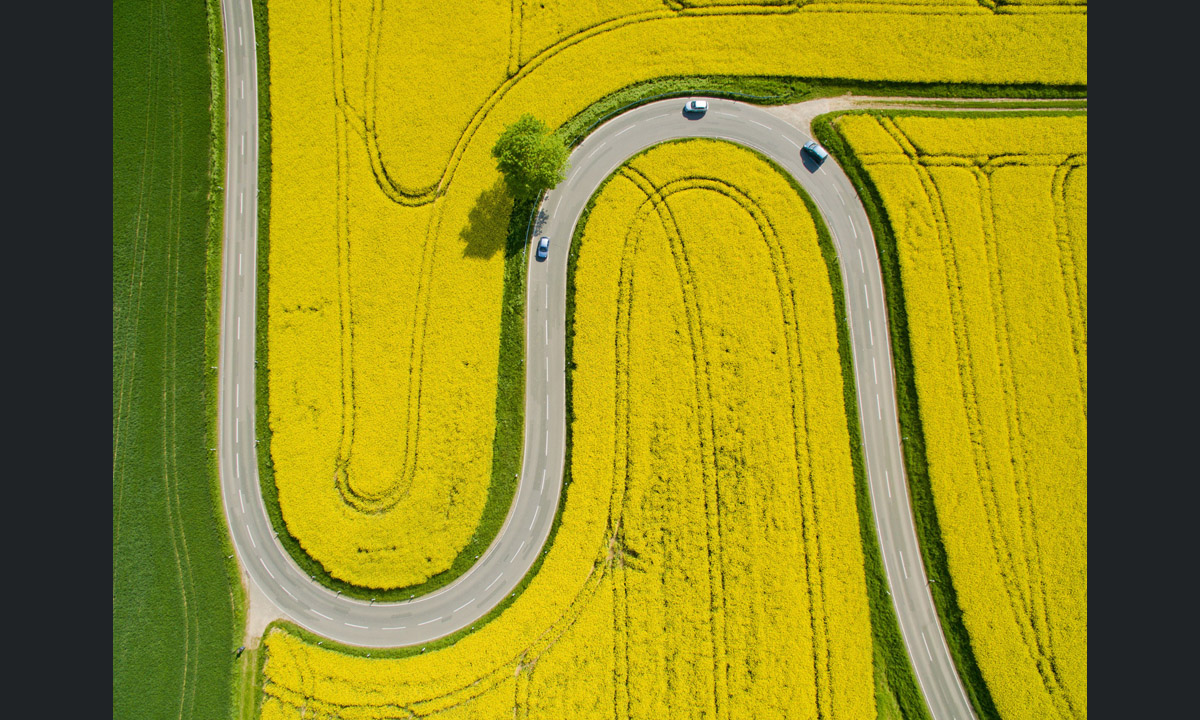 Le foto più belle della settimana – 7/13 maggio