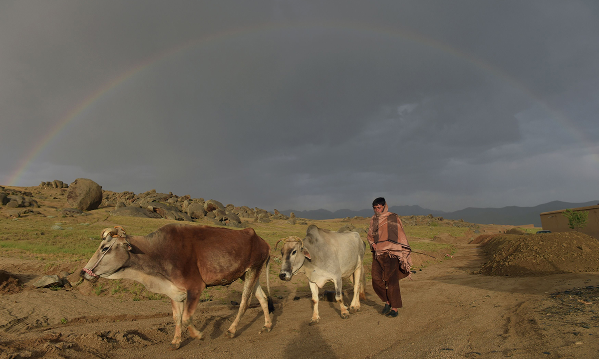 Le foto più belle della settimana – 7/13 maggio