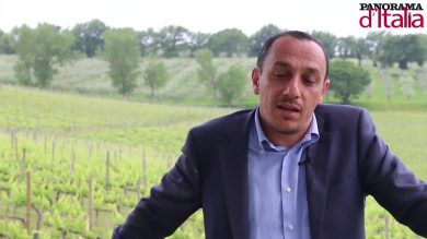 Viticoltura 2.0 e agricoltura sostenibile, a Perugia premiata la start up Leaf