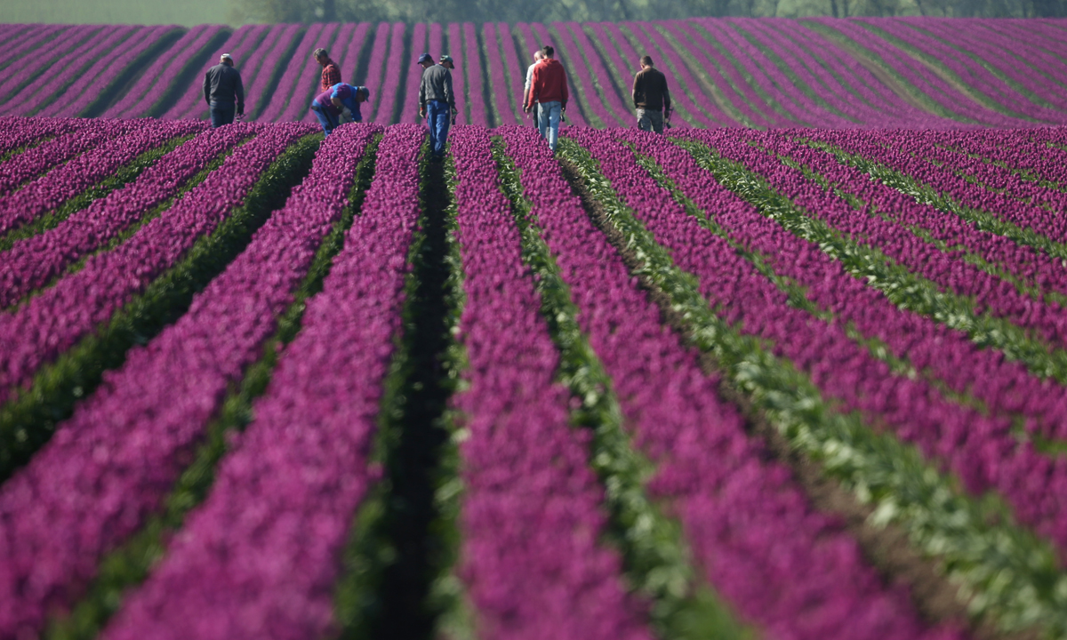 Le foto più belle della settimana – 30 aprile/6 maggio