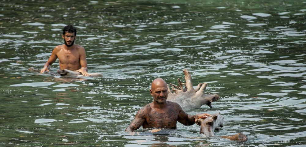 Isola dei famosi 11: clamorosa lite tra Jonás Berami e Paola Caruso Isola dei famosi 11: clamorosa lite tra Jonás Berami e Paola Caruso