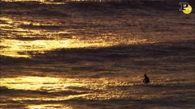 Hawaii: l’arcipelago delle meraviglie e del gusto