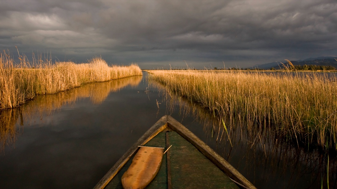 Nicola Ughi. Sedicinoni