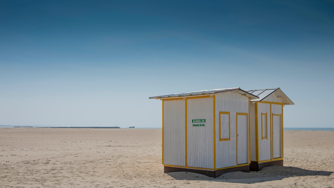 Nicola Ughi. Sedicinoni