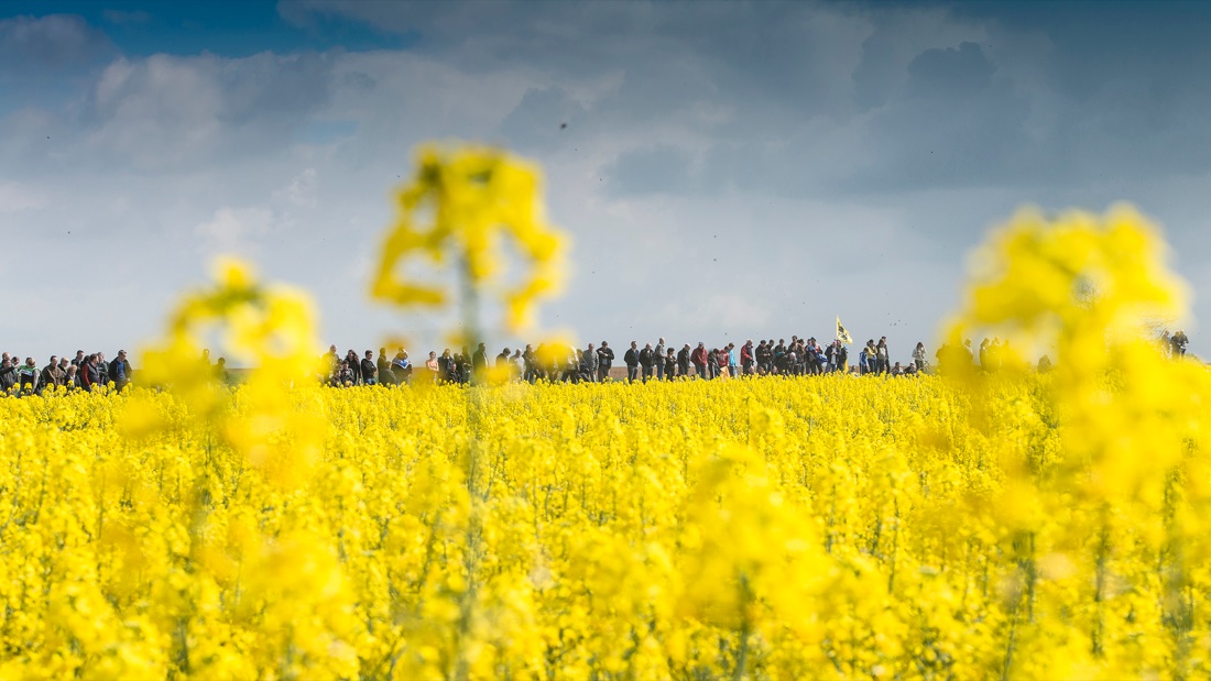 Nicola Ughi. Sedicinoni
