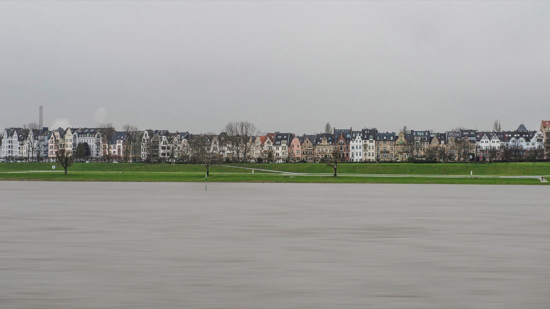 Nicola Ughi. Sedicinoni