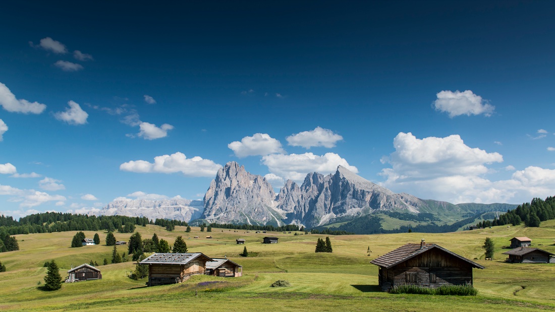 Nicola Ughi. Sedicinoni