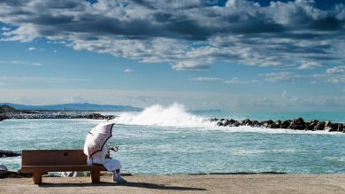 Nicola Ughi. Sedicinoni